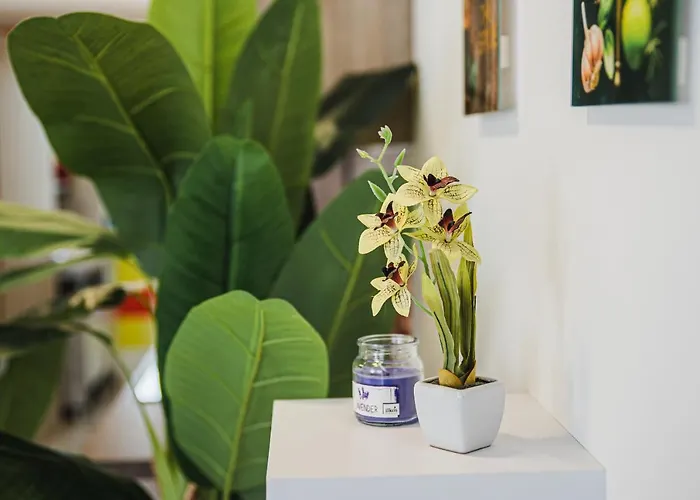 아파트 Cuderland - Petra